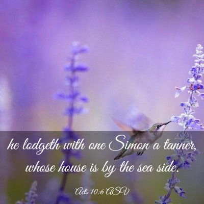 Picture 03 - Acts 10:6 ASV - he lodgeth with one Simon a tanner, whose house - Bible Verse Picture
