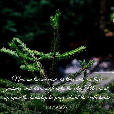 Picture 03 - Acts 10:9 ASV - Now on the morrow, as they were on their journey, - Bible Verse Picture