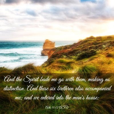 Picture 03 - Acts 11:12 ASV - And the Spirit bade me go with them, making no - Bible Verse Picture