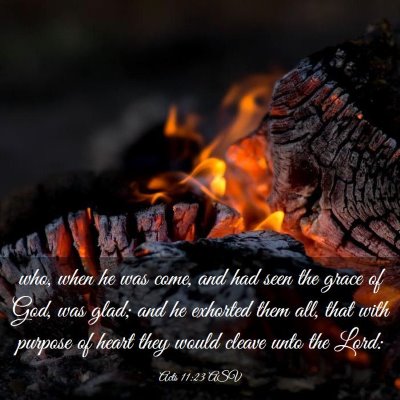 Picture 03 - Acts 11:23 ASV - who, when he was come, and had seen the grace of - Bible Verse Picture