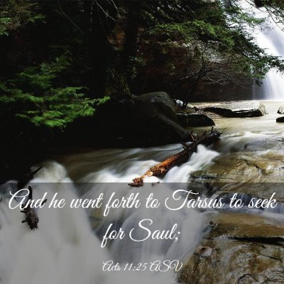 Picture 03 - Acts 11:25 ASV - And he went forth to Tarsus to seek for - Bible Verse Picture