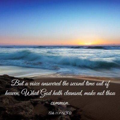 Picture 03 - Acts 11:9 ASV - But a voice answered the second time out of - Bible Verse Picture
