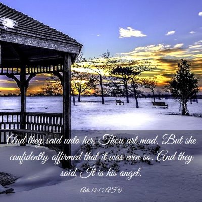 Picture 03 - Acts 12:15 ASV - And they said unto her, Thou art mad. But she - Bible Verse Picture