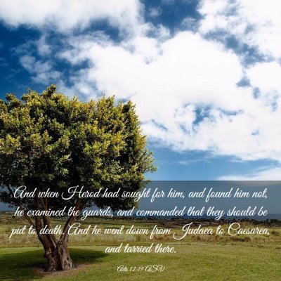 Picture 03 - Acts 12:19 ASV - And when Herod had sought for him, and found him - Bible Verse Picture