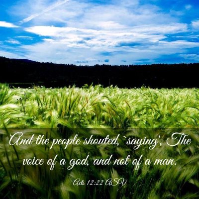 Picture 03 - Acts 12:22 ASV - And the people shouted, `saying', The voice of a - Bible Verse Picture