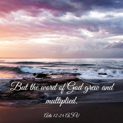 Picture 03 - Acts 12:24 ASV - But the word of God grew and - Bible Verse Picture