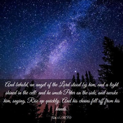 Picture 03 - Acts 12:7 ASV - And behold, an angel of the Lord stood by him, - Bible Verse Picture