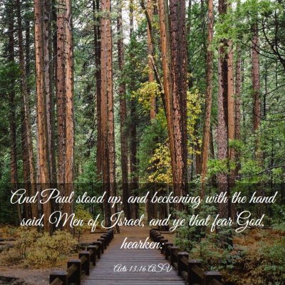 Picture 03 - Acts 13:16 ASV - And Paul stood up, and beckoning with the hand - Bible Verse Picture