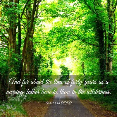 Picture 03 - Acts 13:18 ASV - And for about the time of forty years as a - Bible Verse Picture