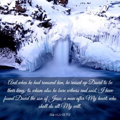 Picture 03 - Acts 13:22 ASV - And when he had removed him, he raised up David - Bible Verse Picture