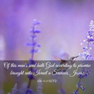Picture 03 - Acts 13:23 ASV - Of this man's seed hath God according to promise - Bible Verse Picture
