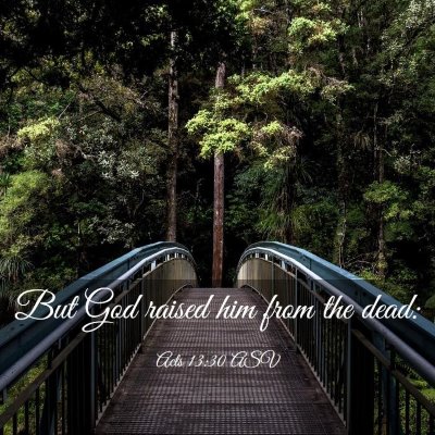 Picture 03 - Acts 13:30 ASV - But God raised him from the - Bible Verse Picture