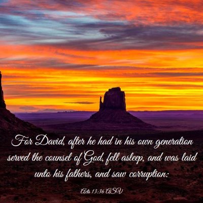 Picture 03 - Acts 13:36 ASV - For David, after he had in his own generation - Bible Verse Picture