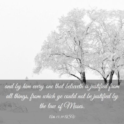 Picture 03 - Acts 13:39 ASV - and by him every one that believeth is justified - Bible Verse Picture