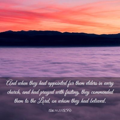 Picture 03 - Acts 14:23 ASV - And when they had appointed for them elders in - Bible Verse Picture
