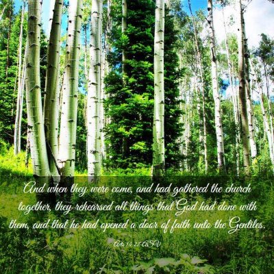 Picture 03 - Acts 14:27 ASV - And when they were come, and had gathered the - Bible Verse Picture