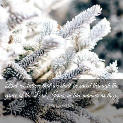 Picture 03 - Acts 15:11 ASV - But we believe that we shall be saved through the - Bible Verse Picture