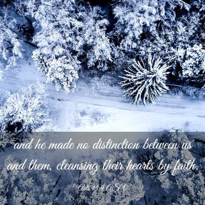 Picture 03 - Acts 15:9 ASV - and he made no distinction between us and them, - Bible Verse Picture