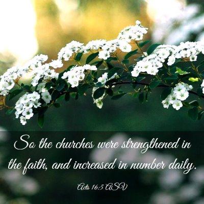 Picture 03 - Acts 16:5 ASV - So the churches were strengthened in the faith, - Bible Verse Picture
