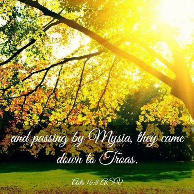 Picture 03 - Acts 16:8 ASV - and passing by Mysia, they came down to - Bible Verse Picture