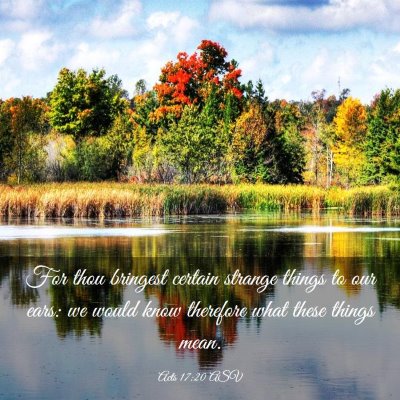 Picture 03 - Acts 17:20 ASV - For thou bringest certain strange things to our - Bible Verse Picture