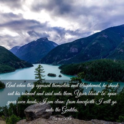 Picture 03 - Acts 18:6 ASV - And when they opposed themselves and blasphemed, - Bible Verse Picture