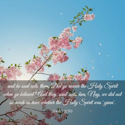 Picture 03 - Acts 19:2 ASV - and he said unto them, Did ye receive the Holy - Bible Verse Picture