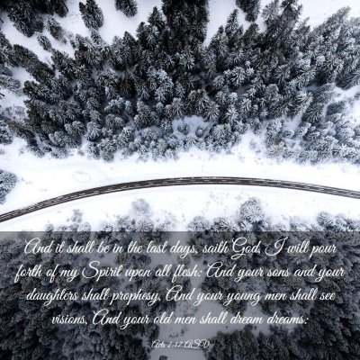 Picture 03 - Acts 2:17 ASV - And it shall be in the last days, saith God, I - Bible Verse Picture