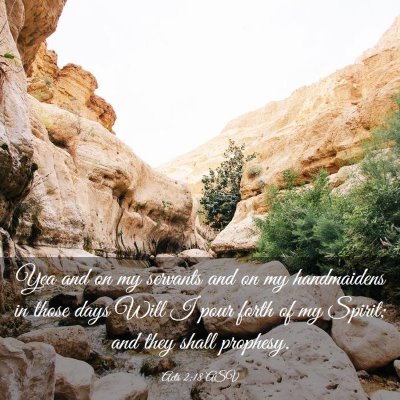 Picture 03 - Acts 2:18 ASV - Yea and on my servants and on my handmaidens in - Bible Verse Picture