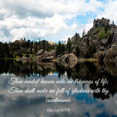 Picture 03 - Acts 2:28 ASV - Thou madest known unto me the ways of life; Thou - Bible Verse Picture