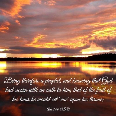Picture 03 - Acts 2:30 ASV - Being therefore a prophet, and knowing that God - Bible Verse Picture