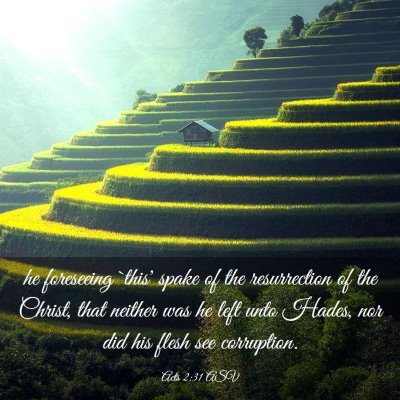 Picture 03 - Acts 2:31 ASV - he foreseeing `this' spake of the resurrection of - Bible Verse Picture
