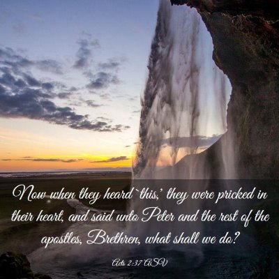 Picture 03 - Acts 2:37 ASV - Now when they heard `this,' they were pricked in - Bible Verse Picture