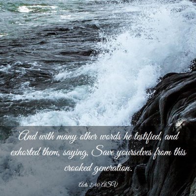 Picture 03 - Acts 2:40 ASV - And with many other words he testified, and - Bible Verse Picture