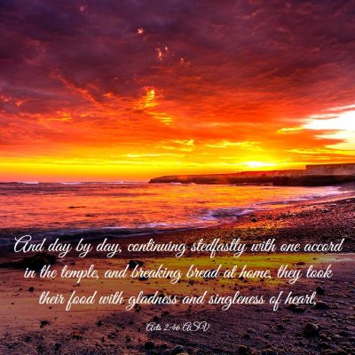 Picture 03 - Acts 2:46 ASV - And day by day, continuing stedfastly with one - Bible Verse Picture