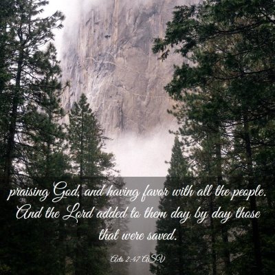 Picture 03 - Acts 2:47 ASV - praising God, and having favor with all the - Bible Verse Picture
