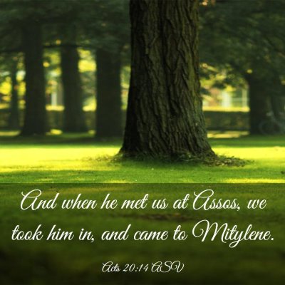 Picture 03 - Acts 20:14 ASV - And when he met us at Assos, we took him in, and - Bible Verse Picture