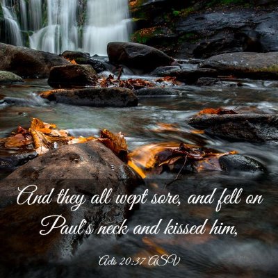 Picture 03 - Acts 20:37 ASV - And they all wept sore, and fell on Paul's neck - Bible Verse Picture