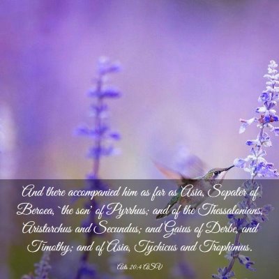 Picture 03 - Acts 20:4 ASV - And there accompanied him as far as Asia, Sopater - Bible Verse Picture