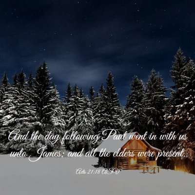Picture 03 - Acts 21:18 ASV - And the day following Paul went in with us unto - Bible Verse Picture