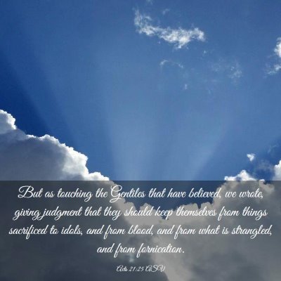 Picture 03 - Acts 21:25 ASV - But as touching the Gentiles that have believed, - Bible Verse Picture
