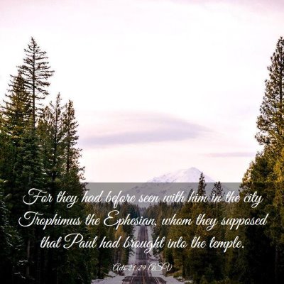 Picture 03 - Acts 21:29 ASV - For they had before seen with him in the city - Bible Verse Picture