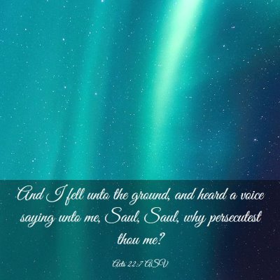 Picture 03 - Acts 22:7 ASV - And I fell unto the ground, and heard a voice - Bible Verse Picture
