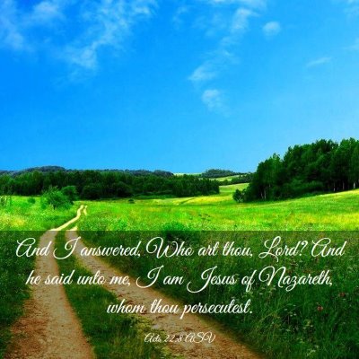 Picture 03 - Acts 22:8 ASV - And I answered, Who art thou, Lord? And he said - Bible Verse Picture