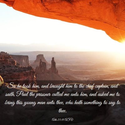 Picture 03 - Acts 23:18 ASV - So he took him, and brought him to the chief - Bible Verse Picture