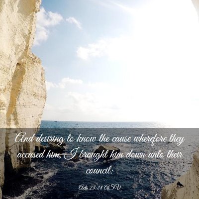 Picture 03 - Acts 23:28 ASV - And desiring to know the cause wherefore they - Bible Verse Picture