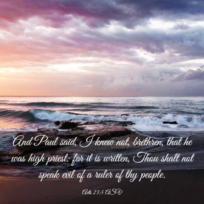 Picture 03 - Acts 23:5 ASV - And Paul said, I knew not, brethren, that he was - Bible Verse Picture