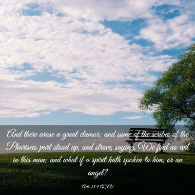Picture 03 - Acts 23:9 ASV - And there arose a great clamor: and some of the - Bible Verse Picture