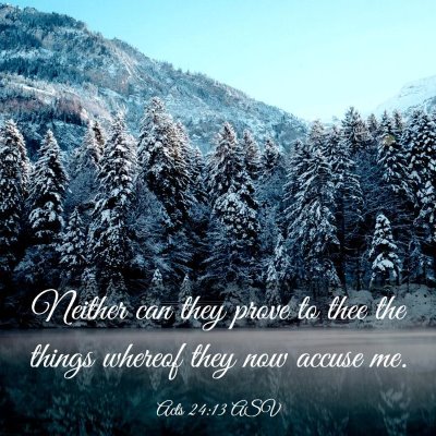 Picture 03 - Acts 24:13 ASV - Neither can they prove to thee the things whereof - Bible Verse Picture