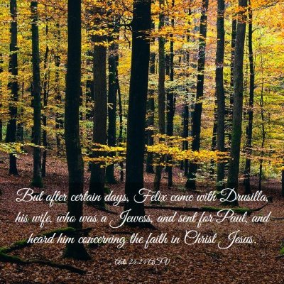 Picture 03 - Acts 24:24 ASV - But after certain days, Felix came with Drusilla, - Bible Verse Picture